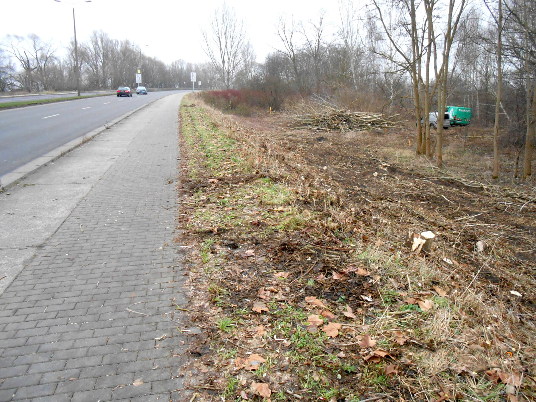 Baumfällarbeiten an der B 1 in Brandenburg an der Havel